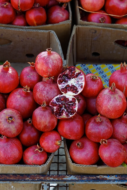 Tang-e Chogân-Sur la route-009